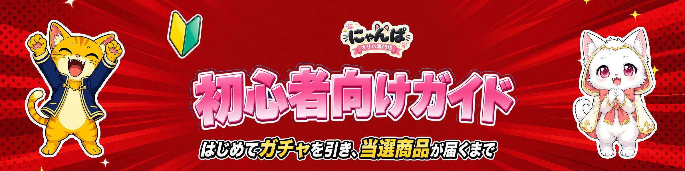 初心者向けガイド